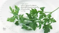 سبزی...