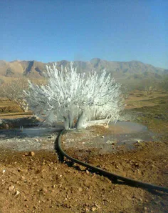 زمستان