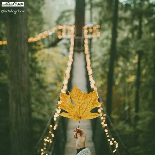 🍁 هیچ وقت به خودت مغرور نشو🍂