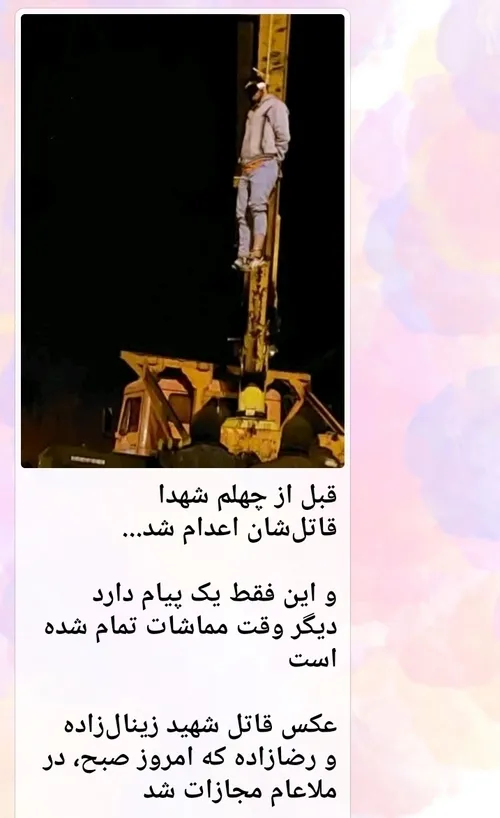 قاتل دو بسیجی مشهدی در ملأعام اعدام شد