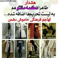 در جهانی زندگی میکنم که یاد دادن اسلام به برخی کافران امر