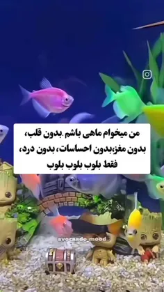 بلوب بلوب بلوب بلوب بلوب بلوب