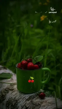 🍒🌱گویی+بعداز+آمدنت+،+قلب+ما+دگر+خواسته+ای+نداشت🍒🌱