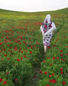 سلام... صبح همگی بخیر