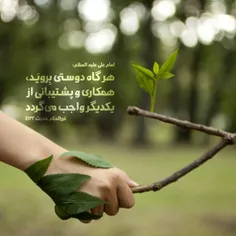 امام على عليه السلام: 