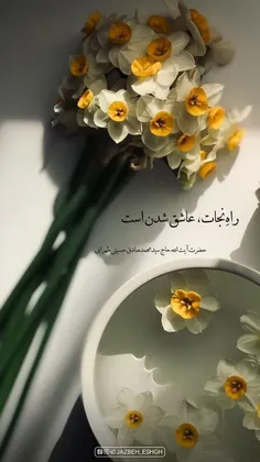 راهِ نجات..