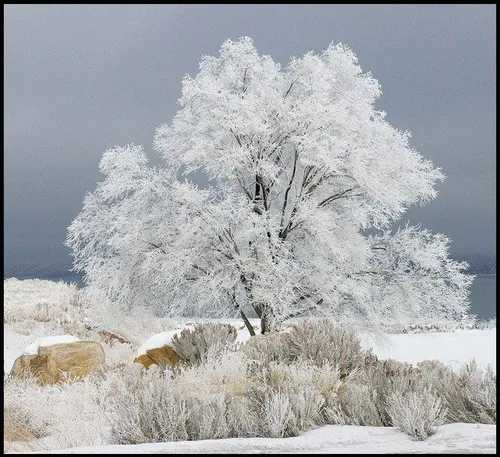 ای بس که نباشیم و جهان