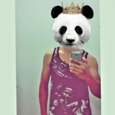 #panda