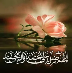 ✍امام حسن مجتبی (ع) #بخون