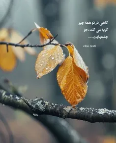 گاهی در تو