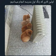 بگذر