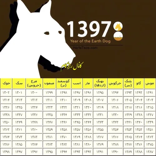 سال 1397 سال سگ خواهد بود !