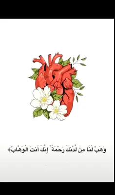 خداوند هیچ وقت ما رو فراموش نمی کنه  ✨️💖🌈
