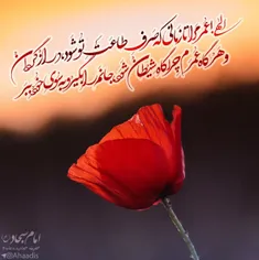 #سید_الساجدین #اعیاد_شعبانیه_مبارک #میلاد_سه_نور_مبارک  #