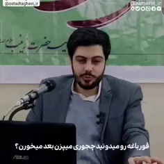 قورباغه رو میدونی چجوری میپزن بعد می خورن؟