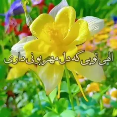 🌹 🌸در این صبح زیبای بهاری