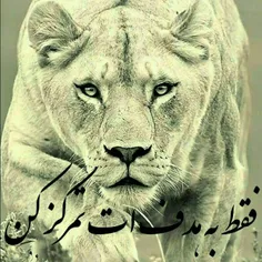 گوناگون ghazalejon 25395558