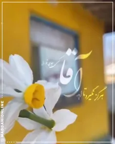 هرگز نگیرد تا ابد آقا کسی جای تو را