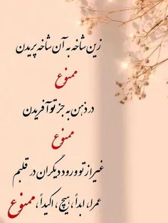 #عکس_نوشته