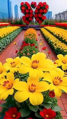 صبح آمده و غزل غزل تقدیمت