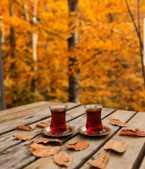پاییز خودش را لو میدهدصبح ها زودتر بیدار شوتاریک تر استخنکای...