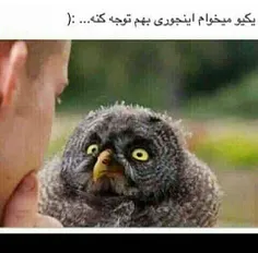 بچه هاااااااااا واسم دعااا کنید