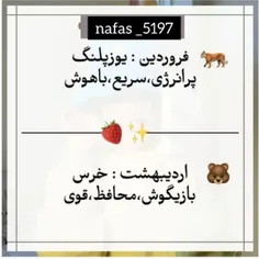 nafas_5197 43295388