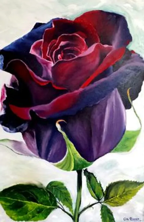 roses Dubai Bahraini Artist Art colors oilpainting Qatar 