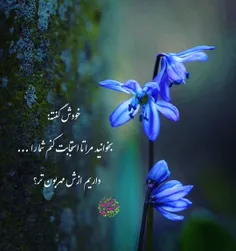 #رمضان_کریم #جـمیـݪ‌_رائـع_‌روعــہ‌_ابــداع #خاص #قشنگ #ه