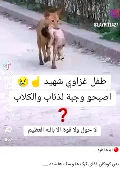 مرگ انسانیت . کودک شهید غزه ای در دهان حیوان درنده 💔💘😑😐🤨😶