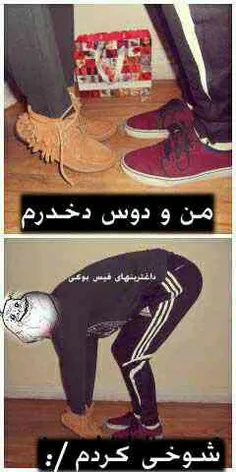 ههههههه