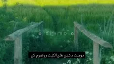 لطفا تموم کن این کار مسخره رو.