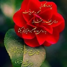 گوناگون faraz1 48533820