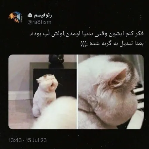 بخدا