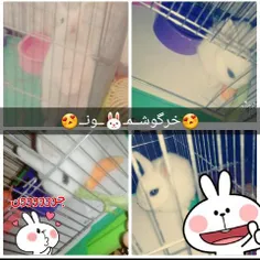 این فِسقِلی جیگرهـ 😍 ـ منـ😗 ـهـ