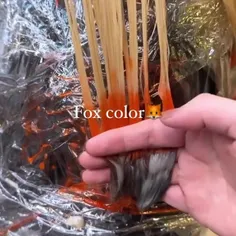 fox color