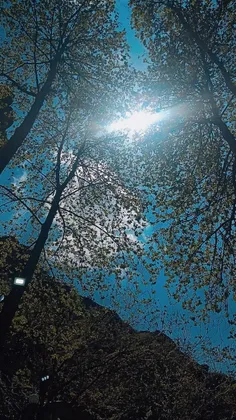 با بلادیا🫂❤️‍🩹