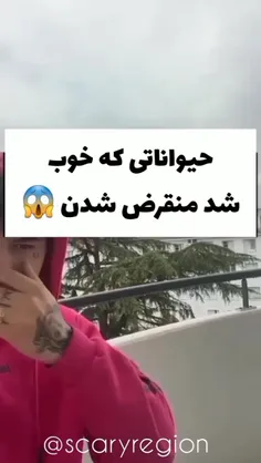 حیواناتی که خوب شد منقرض شدن😱