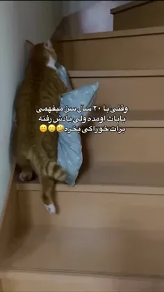 خب نباید یادشونن برهه😫😂