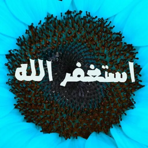 همه بگین