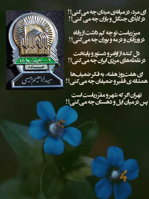 سید ابراهیم رئیسی