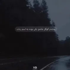 شاید... 