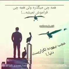 داره میگذره ولی 
هیچی فراموش نمیشه نه..... 