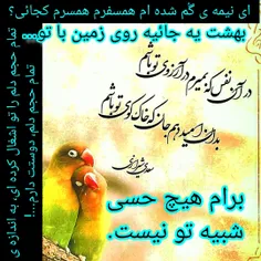 نیمه_گمشده 