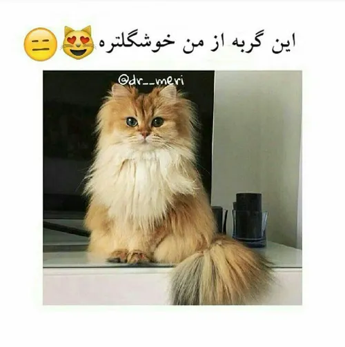 خخخخ :))