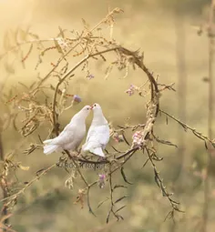 زندگــی خیلی کوتاه است