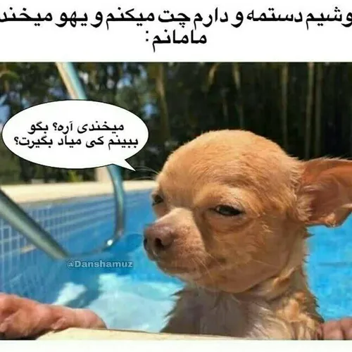  meme_sese 68040728 - عکس ویسگون