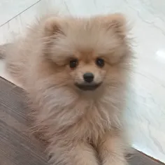 اگه گفتین این خوشگل کیه؟🥰