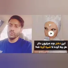 دنیای غرب از آنچه که ما نشان داده اند متمدن تر هستند .