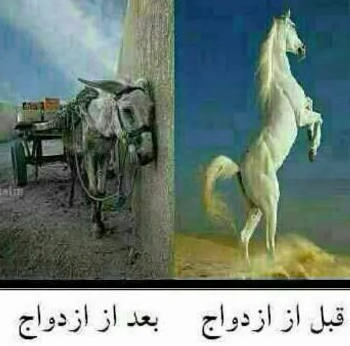 هههههههههههه